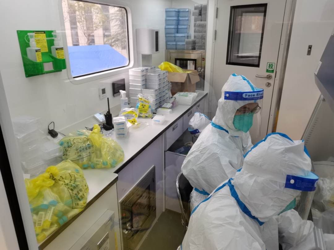 绿“马”守卫战