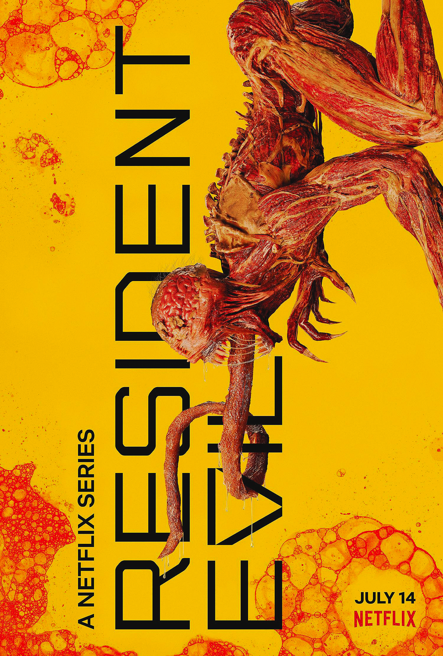 观影指南：7月1日Netflix上线的剧集、电影清单（下篇）