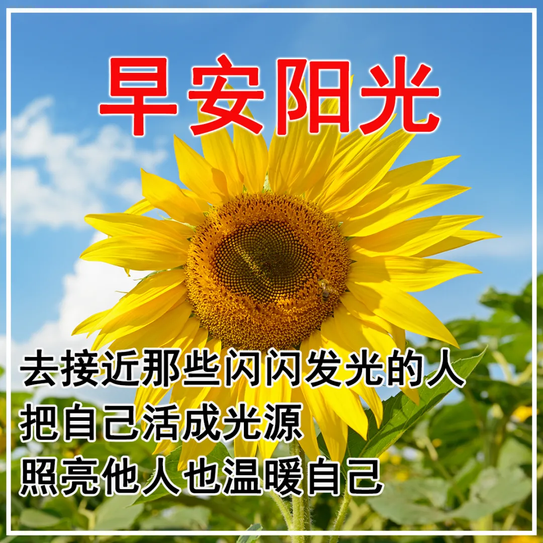 早上好降温了问候句子，天冷记得：添件衣服，添份温暖