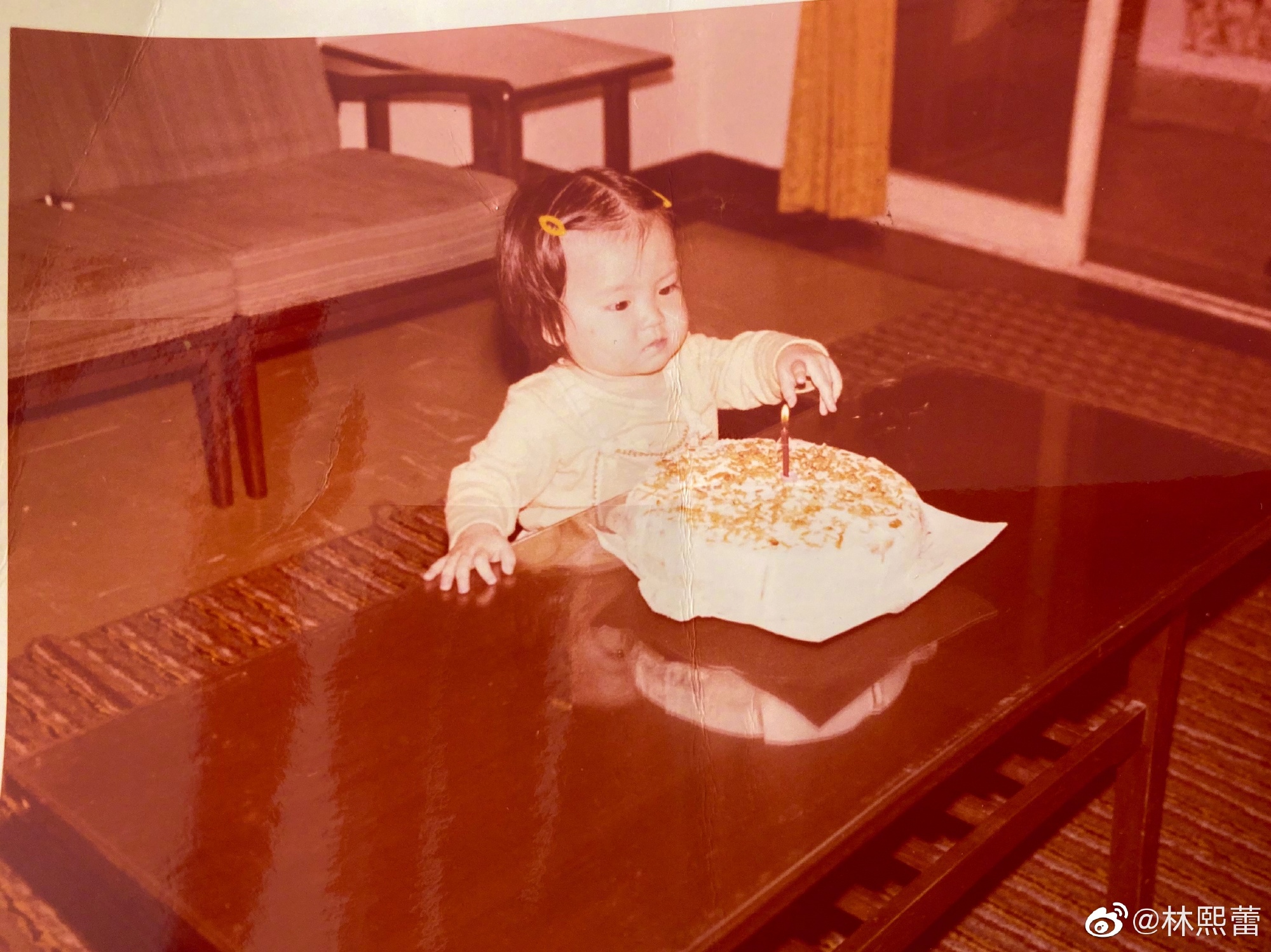 林熙蕾泳装事件  林熙蕾个人资料人生经历图片