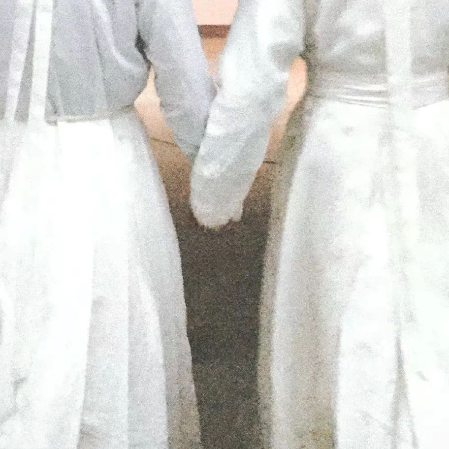 还记得《三生三世十里桃花》里的叠风吗？热巴都在嗑他的cp？