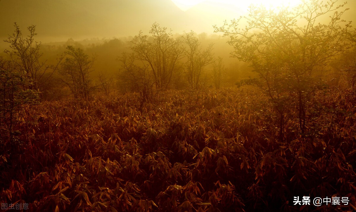 喜报！湖北九地入围国家级名单，将获得中央财政支持