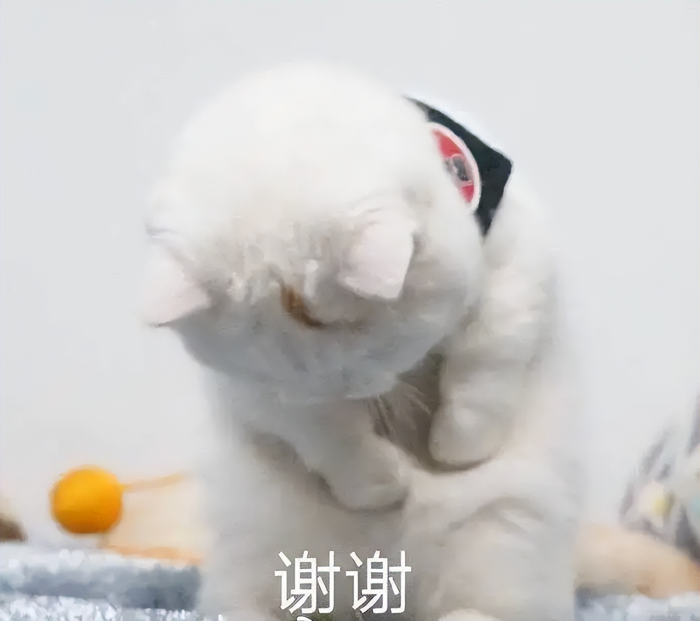 一篇文章快速教你如何搭建关键字驱动自动化测试框架？