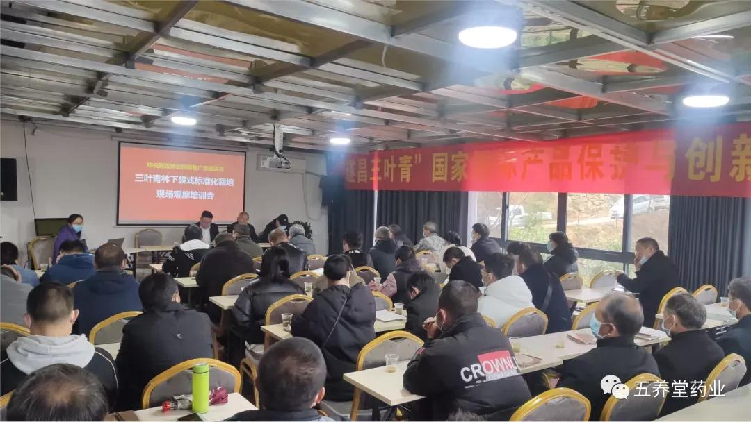 遂昌三叶青——走进中医药现代化产业化新领域