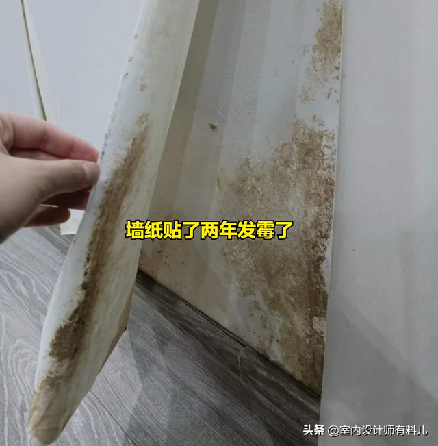 入住后才发现，这6个“普通设计”真是实用，建议你提前看看