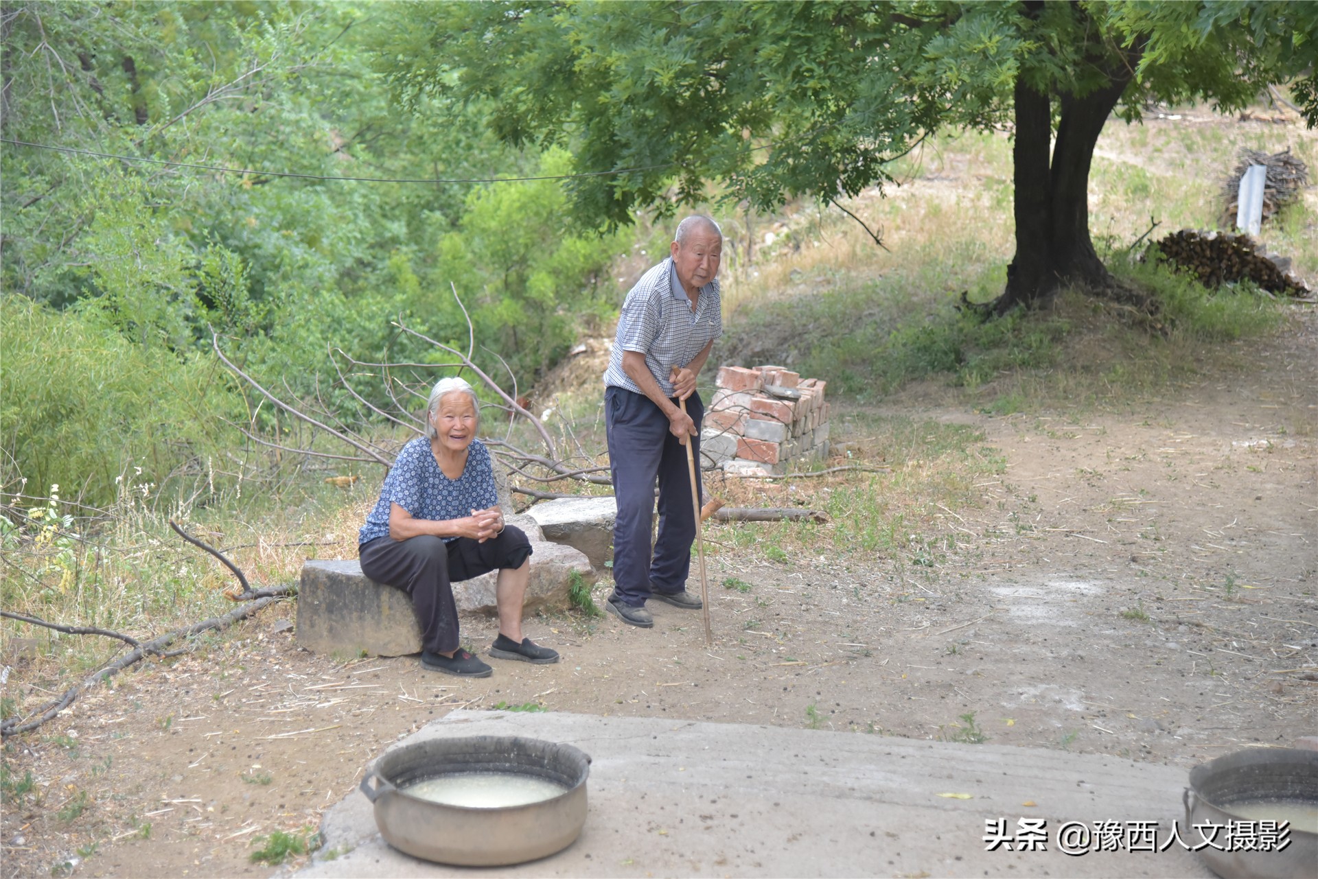 一家4口独享整座大山，养3头牛80只羊种7亩多地，整年不下山