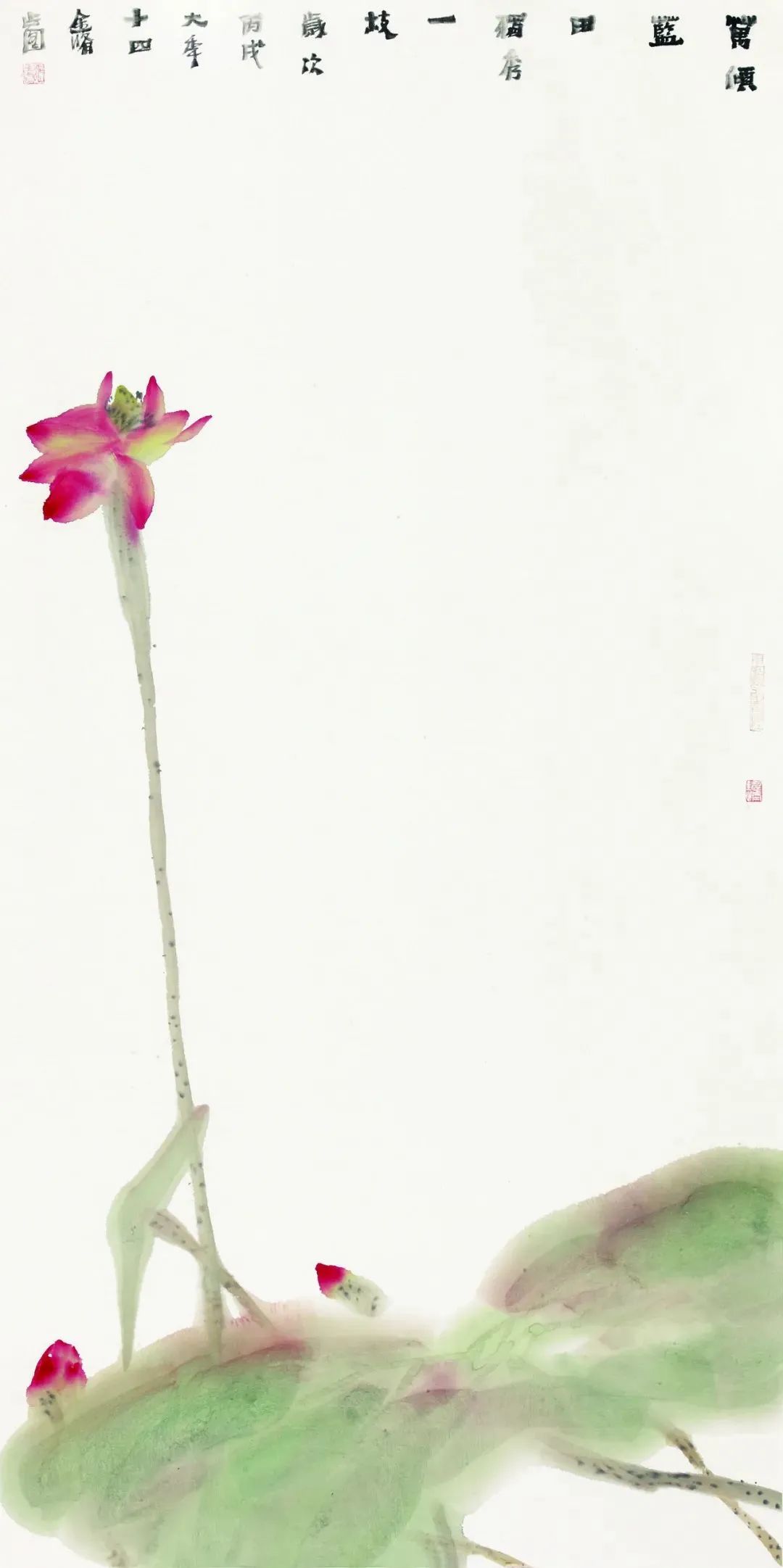 意境清远，笔墨雅洁的花鸟画