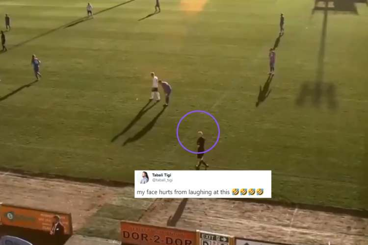 2021国外最全沙雕新闻来了！为什么这么好笑哈哈哈哈哈哈