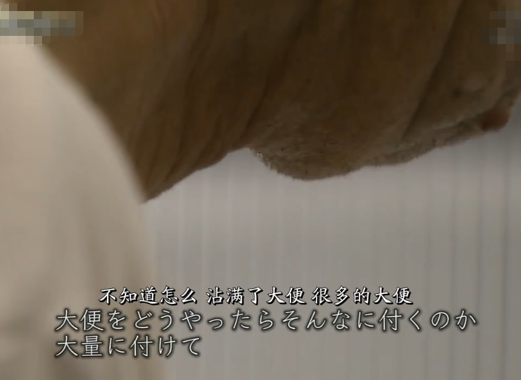 正在被老龄化毁掉的日本：老人无力照顾妻子，只好杀掉妻子再自杀