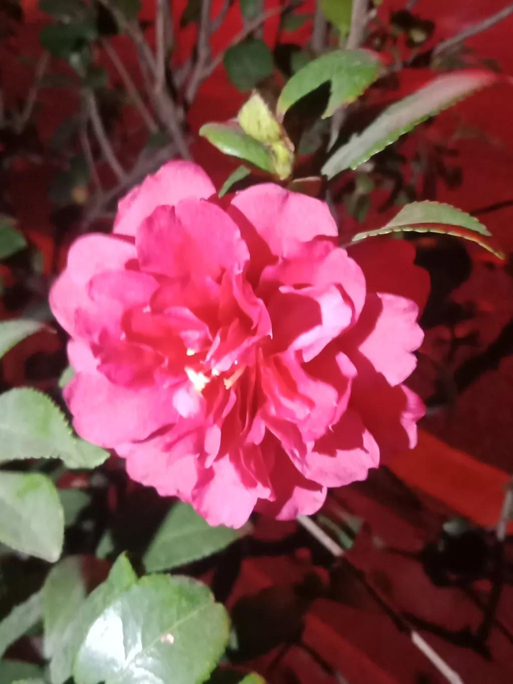 在58同城做精准推广，接一个电话的成本，大约是13.66元