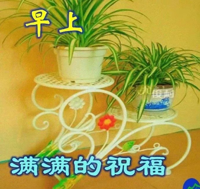 只要用心对待，每一个日子都是幸福，早安