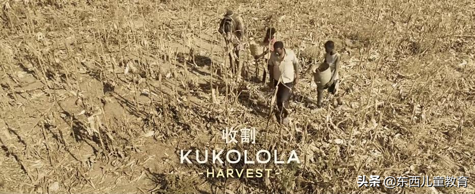 我挖到一部超棒的电影！娃看完大受震撼，主动说要好好学习