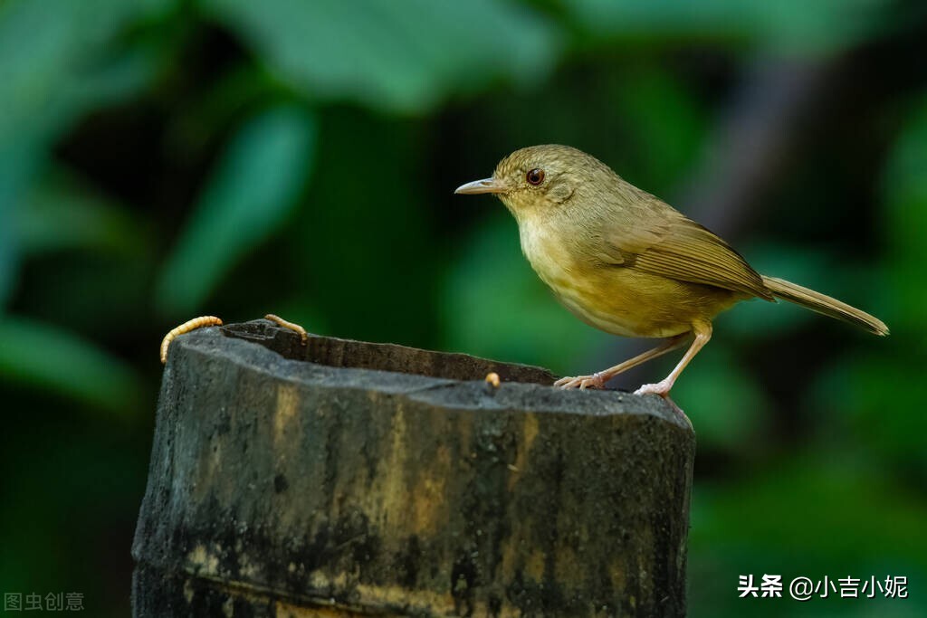 写作 1| 关于人物性格描写的词语有哪些