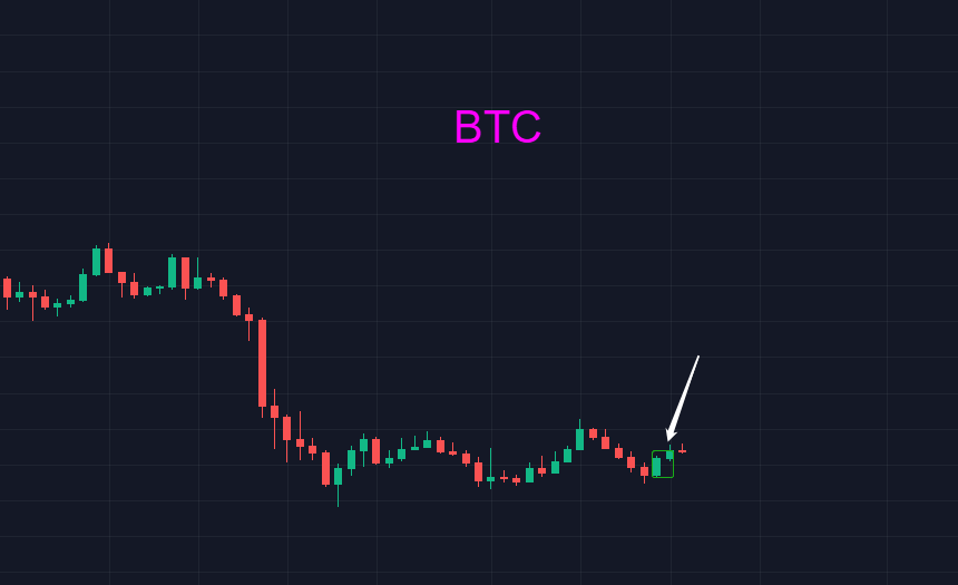 比特币走出小荷才露尖尖角之势