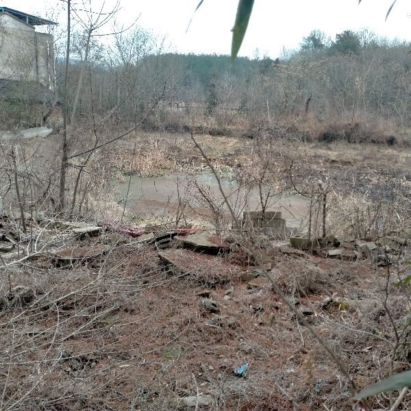 如今已时过境迁沧海桑田，你已不是当初的少年(美文文案)