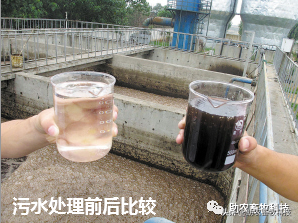 养殖场、农村集中废水用几个储液池让废水达标排放的方法分享