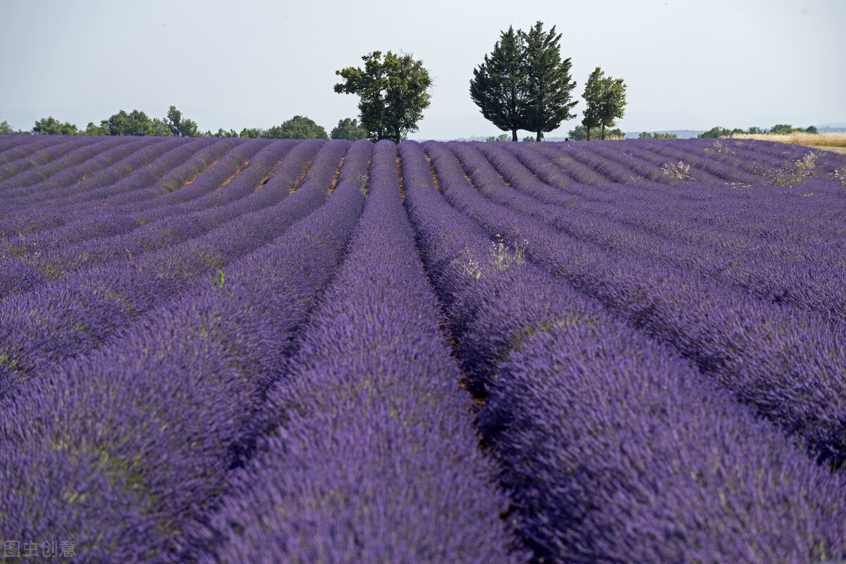 慢读双语短文020 SPRING AND A GIRL 春天和姑娘