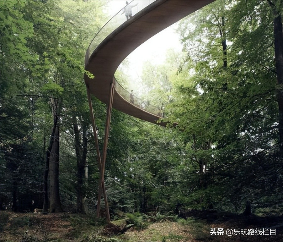 收藏！莲都春游好去处都在这里了