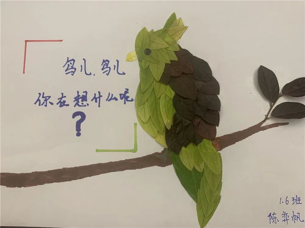 成都市双流区实验小学外国语学校开展阅读课程专题研讨教研活动