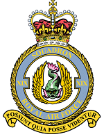 英国空军各类标识：飞行中队（11-20）