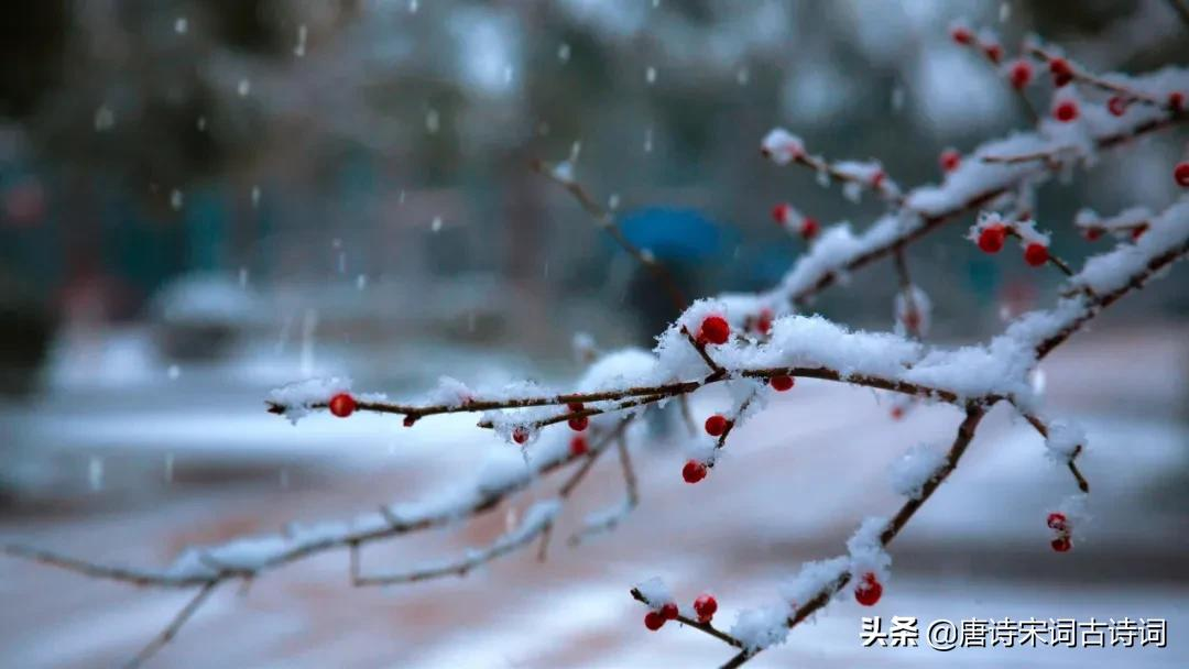 古诗词里，冬景可爱