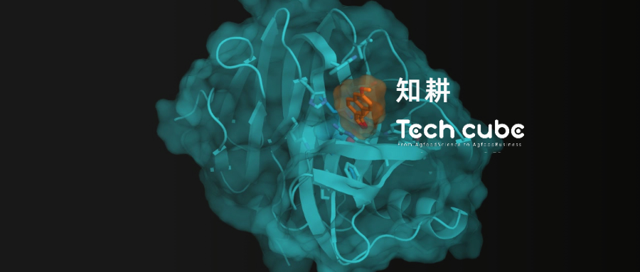 蛋白质遇上AI，突破天然与化学合成的边界，无限场景应用