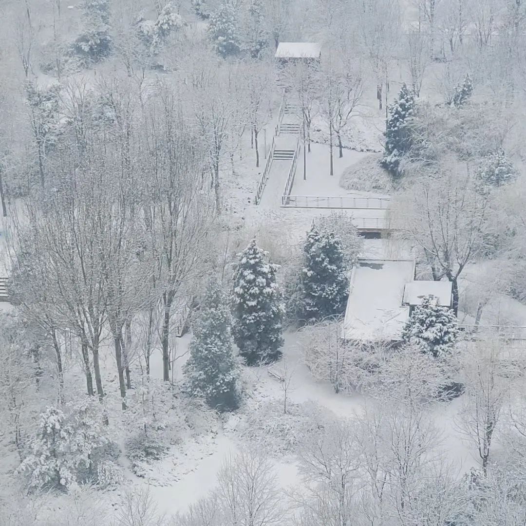 春雪一来，北京就更美了！