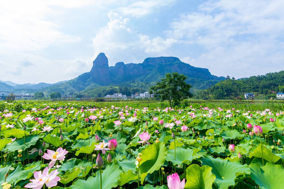 江西十大冷门景点，人少景美好玩