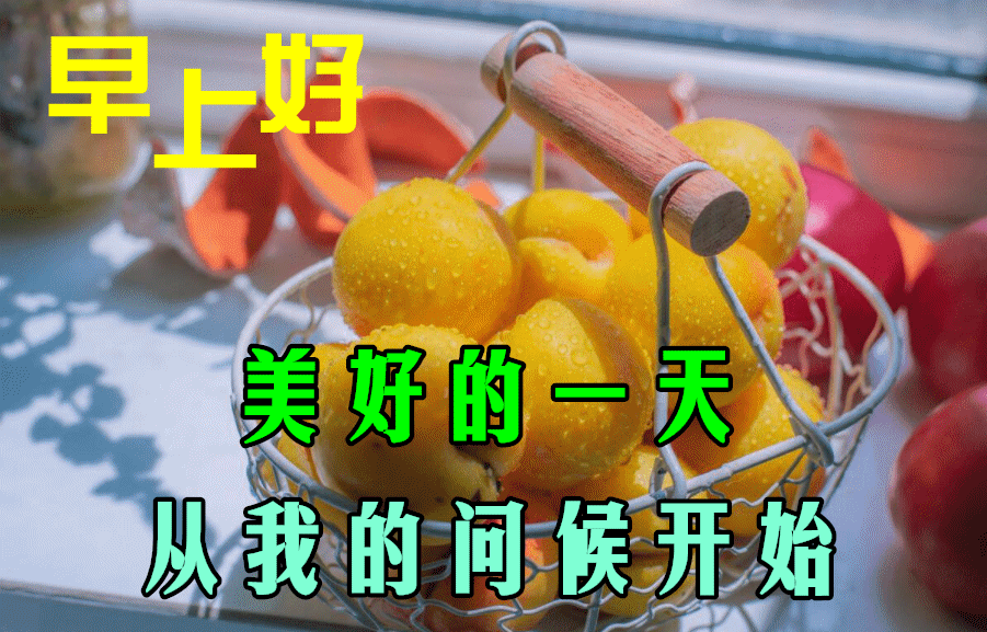 早安祝您安康快乐，愿你如诗，未来可期