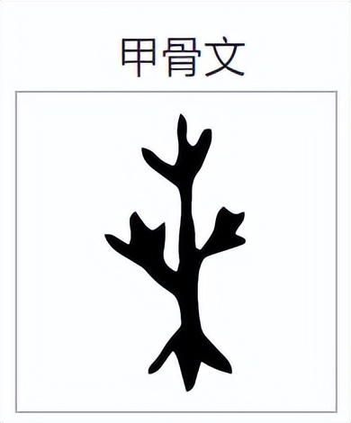 甲骨文的"桑"字《山海经·海内经》又说:帝俊赐羿彤弓素矰,以扶下国