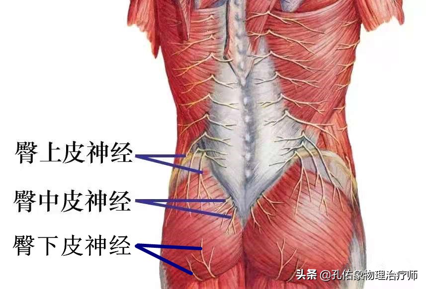 腰椎间盘突出，臀部疼痛、麻木，是怎么回事？该如何治疗