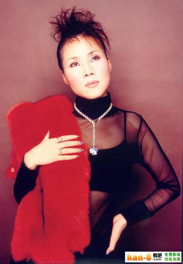 田震，15张精美的照片