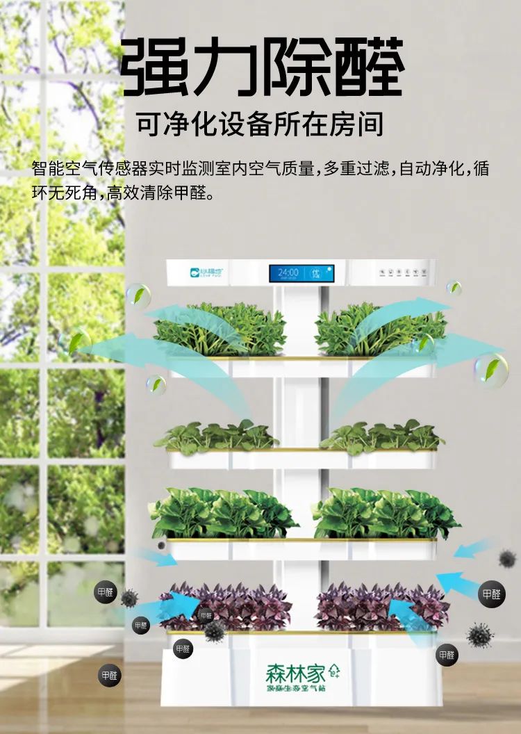 室內空氣污染愈發嚴重