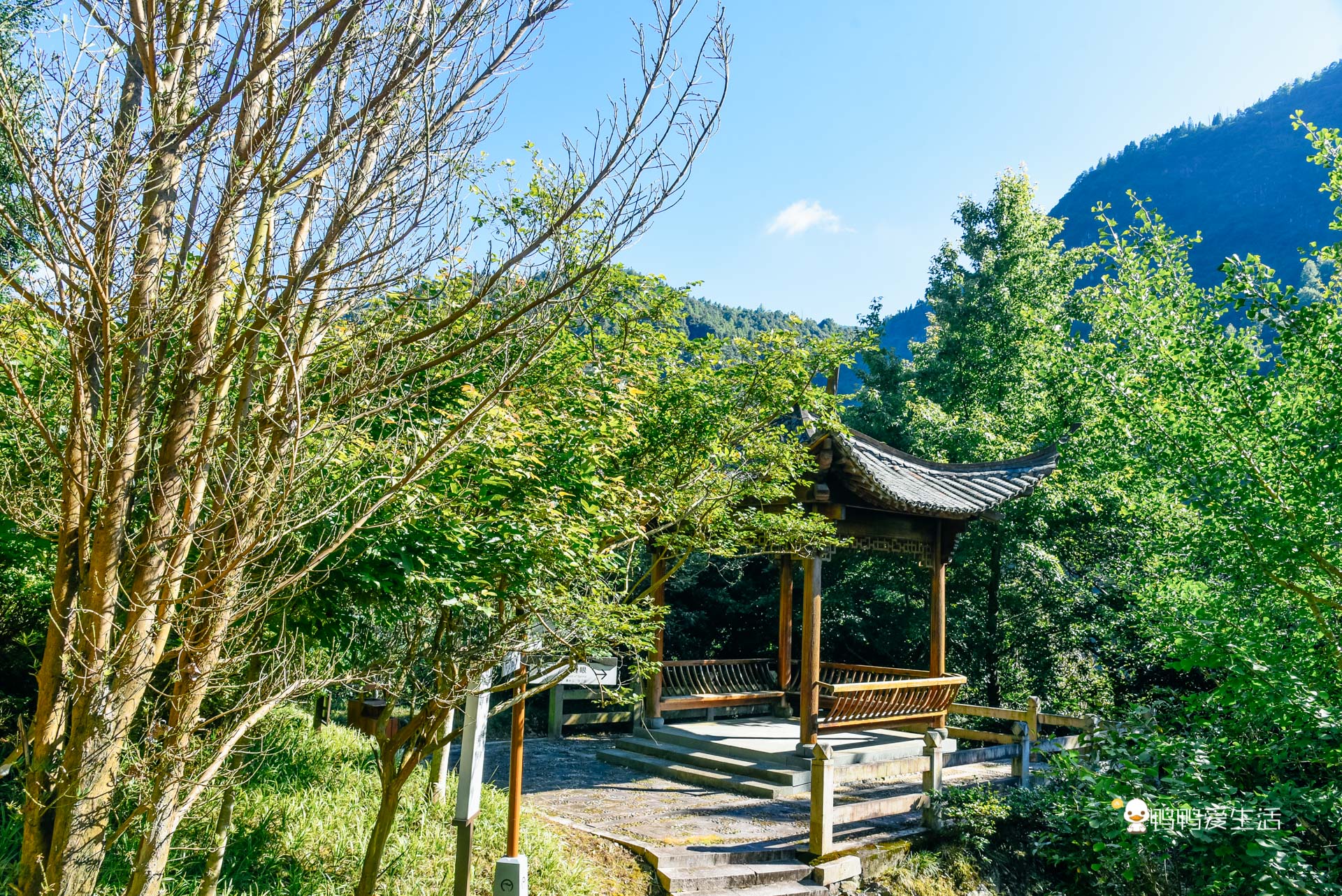 浙江最出名的温泉藏在泰顺华东大峡谷内，常年高热，功效奇特