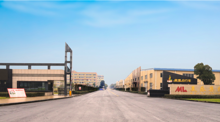 民族品牌凤凰：强势攻占电动两轮市场，重金邀您共赢未来