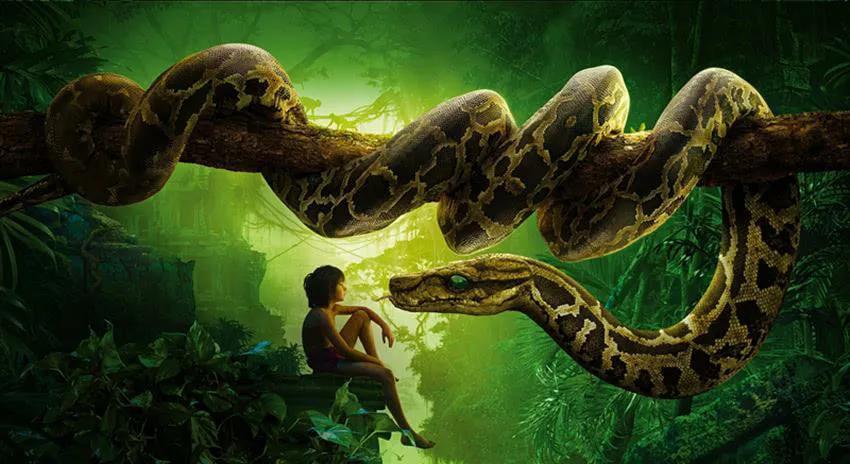地球上真实存在过的十大巨型恐怖生物揭秘