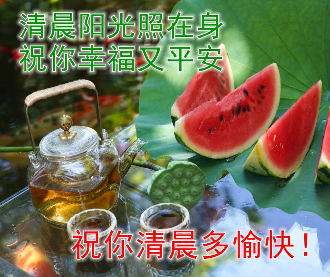 早上好图片（美好祝福早安问候图片）