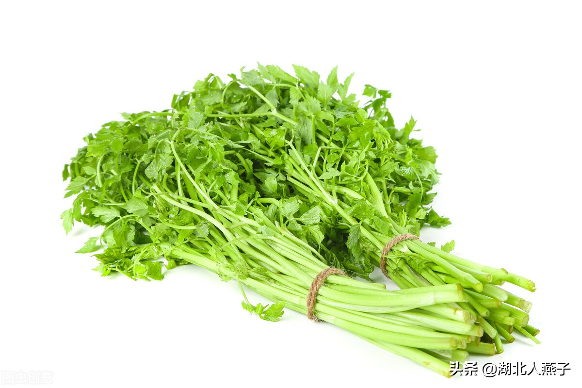 野菜的种类和做法（带你见识不同的野菜和吃法） 29