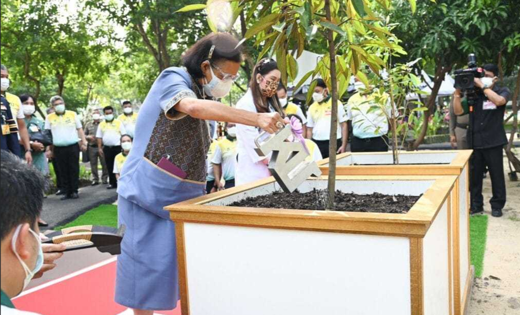 65岁的朱拉蓬公主，穿白大褂配卷发型状态好，同框诗琳通给树浇水