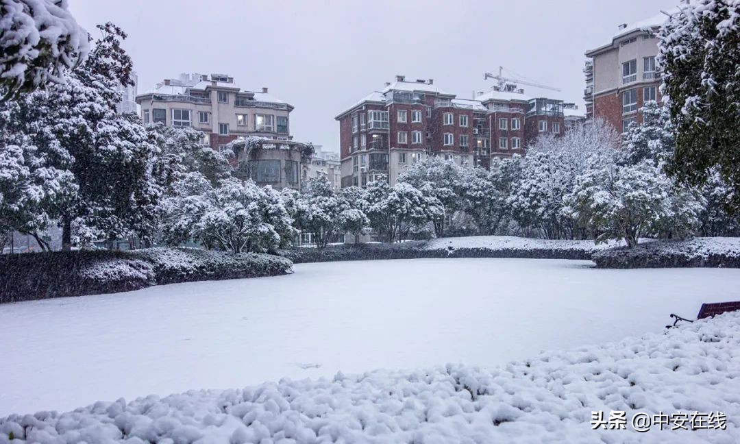 芜湖这场雪 下得太认真