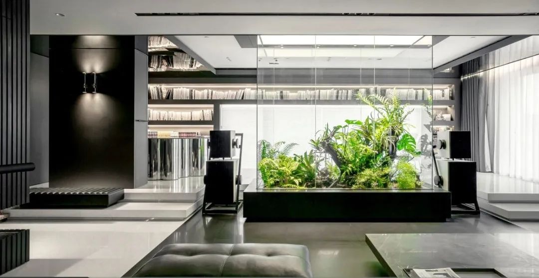 距离高颜值的家，你还差这些绿植！5个植物系家装，美翻