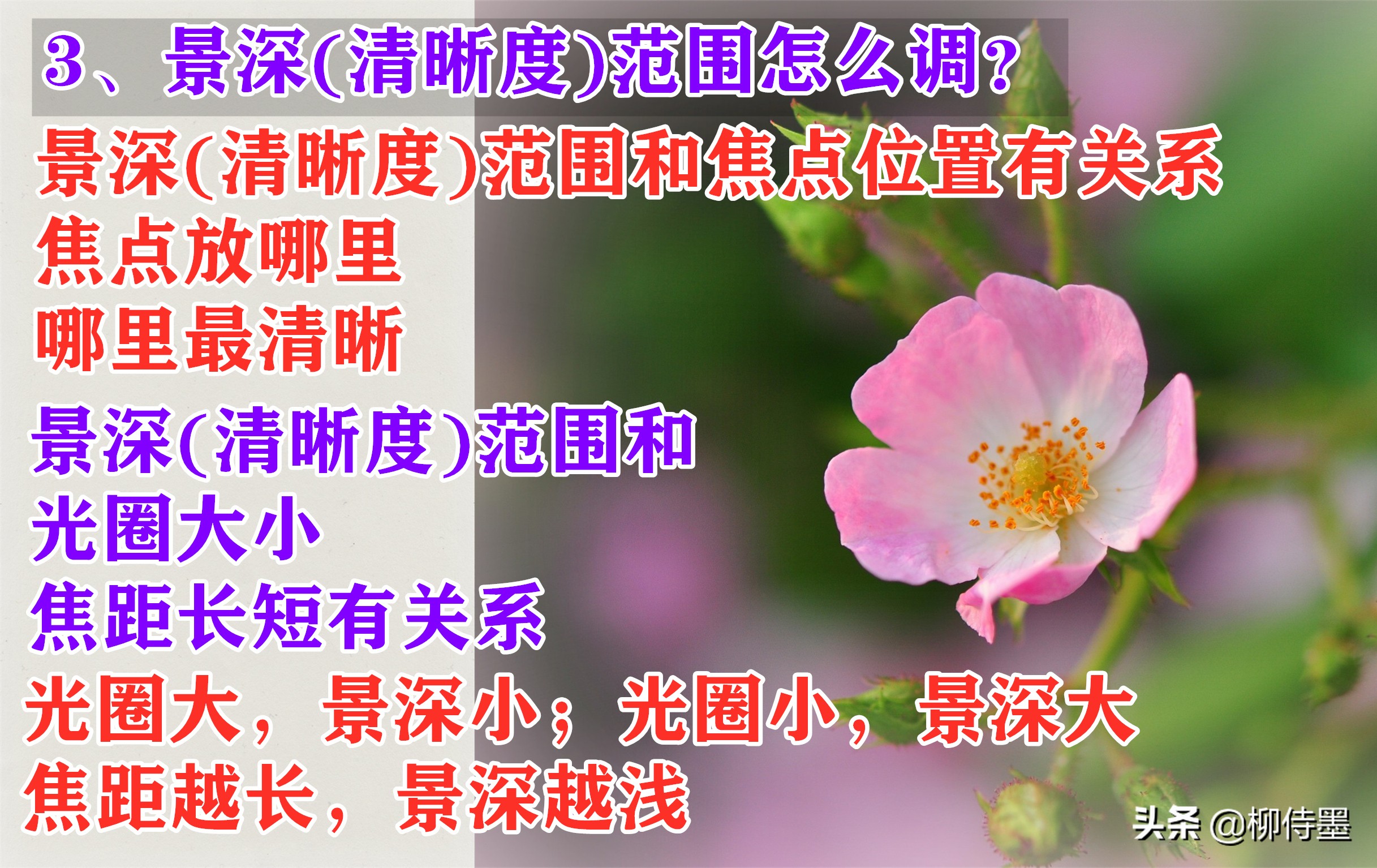 中老年阿姨玩轉(zhuǎn)手機(jī)攝影，照片想要高級感爆棚？一個技巧就搞定