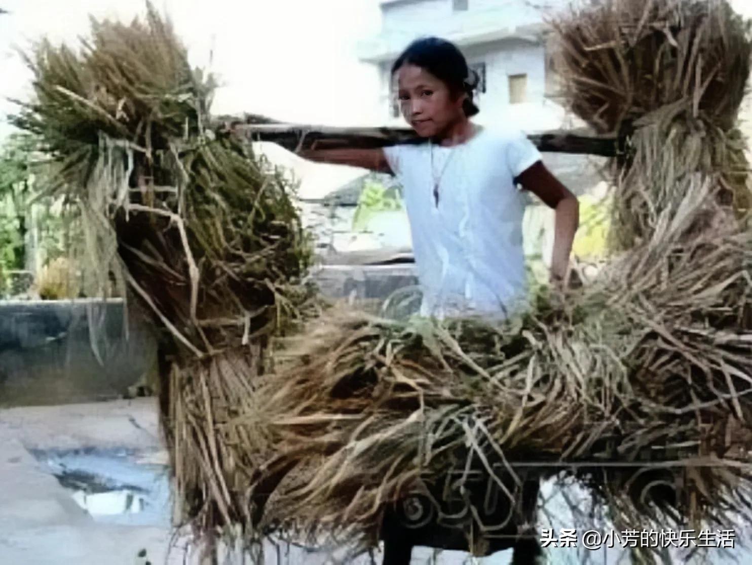 山东16岁女孩3度卖血养活继父一家7口，惨死后3个哥哥披麻戴孝