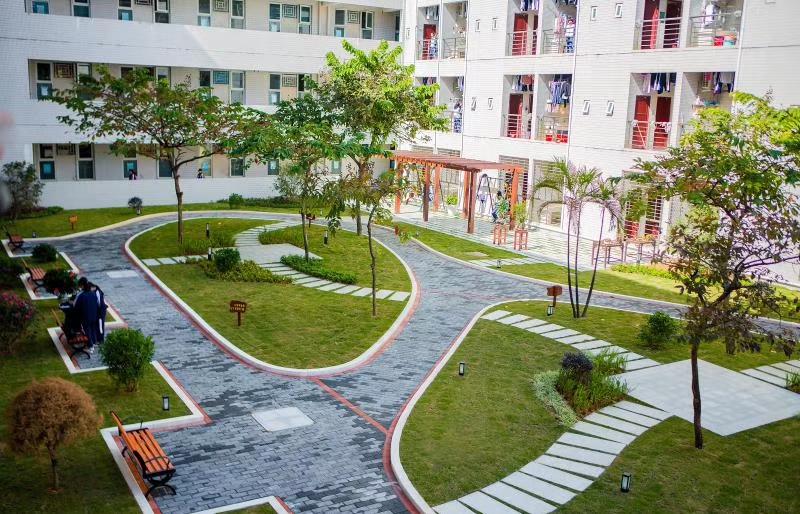 廣州市南沙第一中學(xué)：我在豐澤東路的日子(圖28)