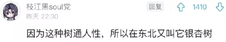 100句文案，告别寒冬（2021年末版）