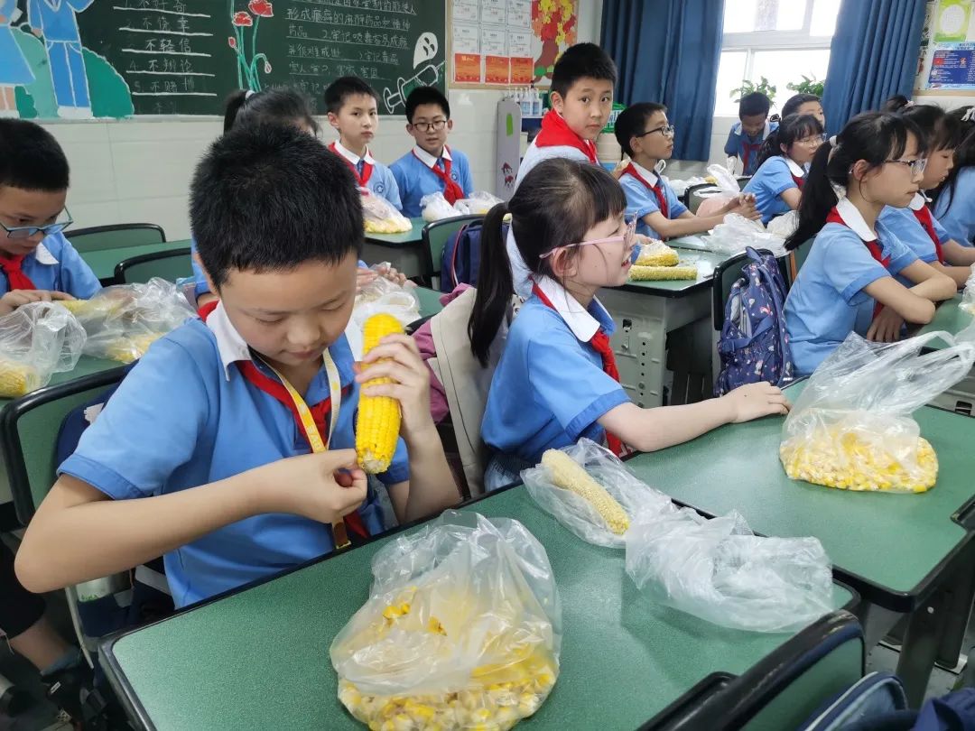 发扬劳动精神 争做先锋少年｜记川大西航港实小劳动技能大赛活动