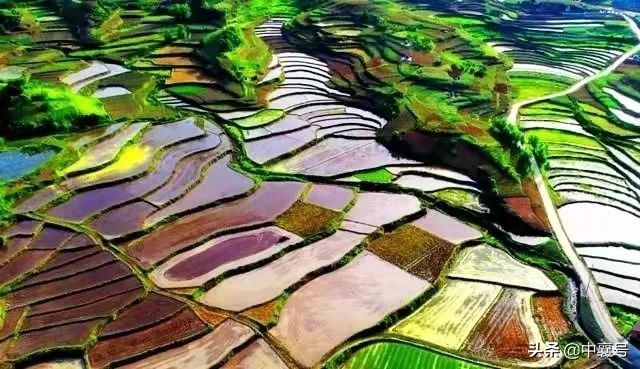 喜报！湖北九地入围国家级名单，将获得中央财政支持