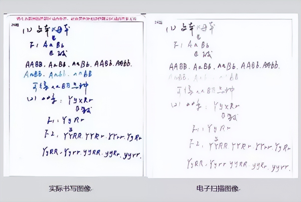 高考阅卷的“潜规则”，相似答案分数却大不相同，22届考生早避坑