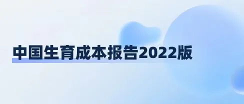 中国生产成本报告2022版