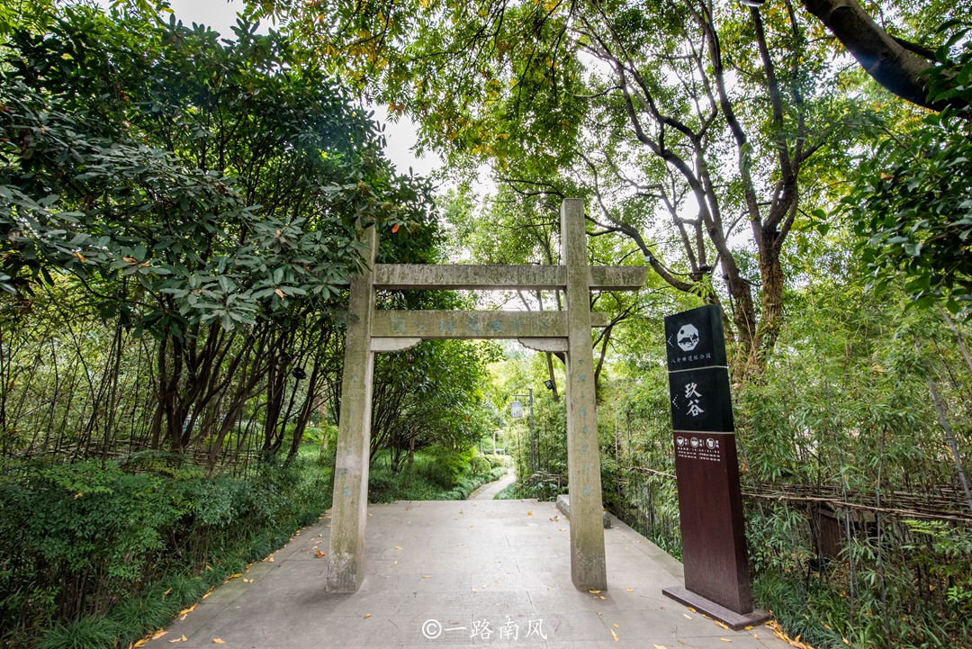 杭州周边旅游景点攻略，这三个地方公交车直达，一天时间可以走完
